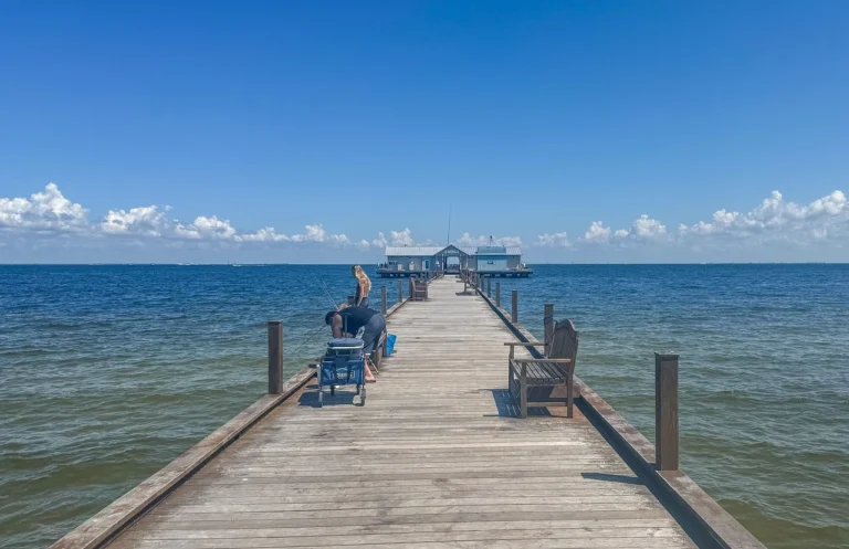 Celebrities Who Call Naples Florida Home