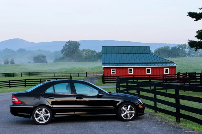 Do You Need a Car in Fort Myers? Exploring Transportation Options for Residents and Visitors