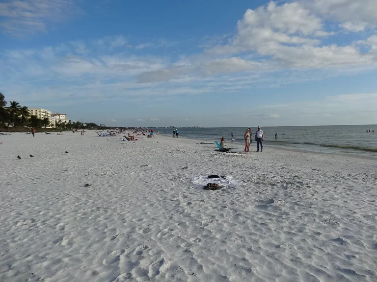 Is Estero Beach Open? Everything You Need to Know About Current Access and Activities