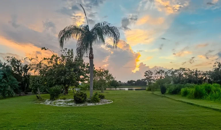 Is Fort Myers a Good City to Live In? Exploring the Pros and Cons of This Coastal Gem