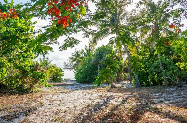 What Are the Cons to Living in Fort Myers, FL? Exploring the Downsides