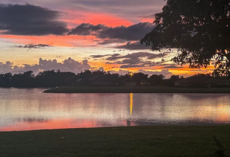 Why is Fort Myers So Popular? Unpacking the Allure of Florida's Coastal Gem